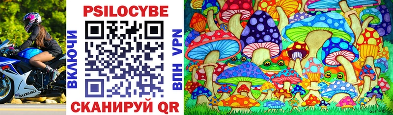 где продают Фурманов Псилоцибиновые грибы Psilocybe