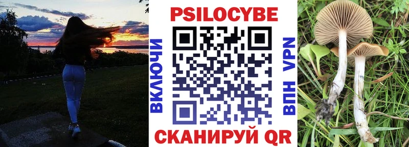 Галлюциногенные грибы Cubensis Фурманов